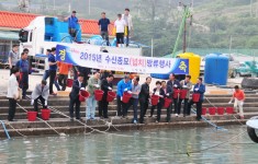 계마항 수산종묘(넙치) 방류행사