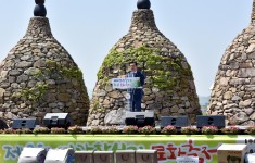 제8회 영광찰보리 문화축제